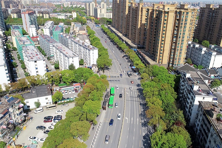 東升路（新港橋-中環東路）綜合整治工程  施工-（城北路-東方路）工程項目